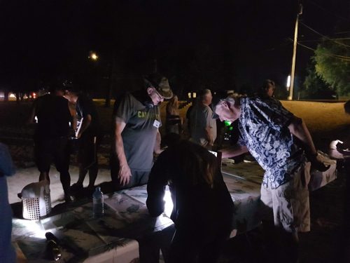 1m-Friday_Night_Hunt