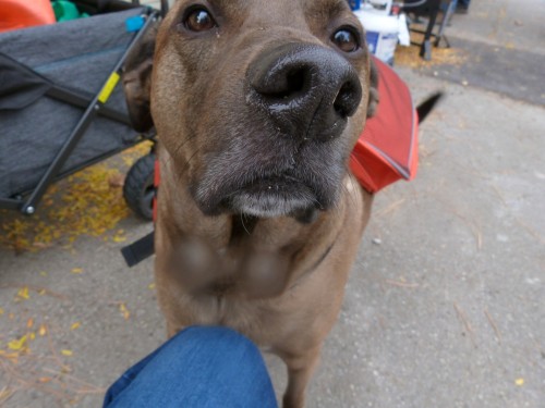 465156945_2897032940470340_2931000073959583251_n